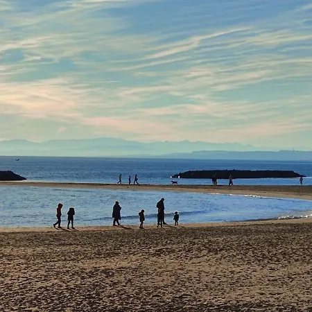 Riboleys - T3 Climatise Avec Wifi A 400m De La アパート